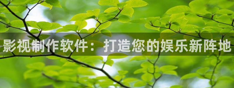 爱丫爱丫免费观看电视剧西瓜影院：影视制作软件：打造您的娱乐新阵地