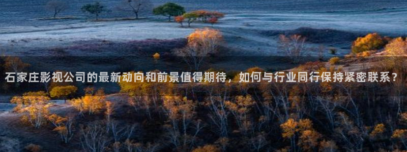 爱丫爱丫在线影院电视剧高清免费蜜：石家庄影视公司的最新动向和前景值得期待，如何与行业同行保持紧密联系？