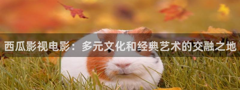 爱丫爱丫高清在线观看：西瓜影视电影：多元文化和经典艺术的交融之地