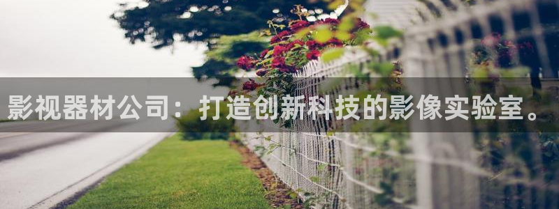 爱丫爱丫高清在线观看电视剧未成年女孩：影视器材公司：打造创新科技的影像实验室。