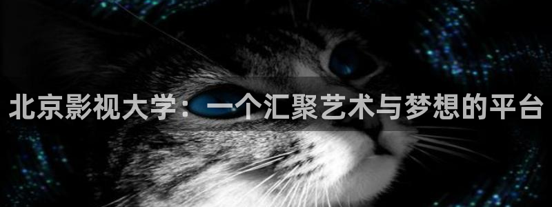 爱丫爱丫在线影院今天免费高清动漫：北京影视大学：一个汇聚艺术与梦想的平台