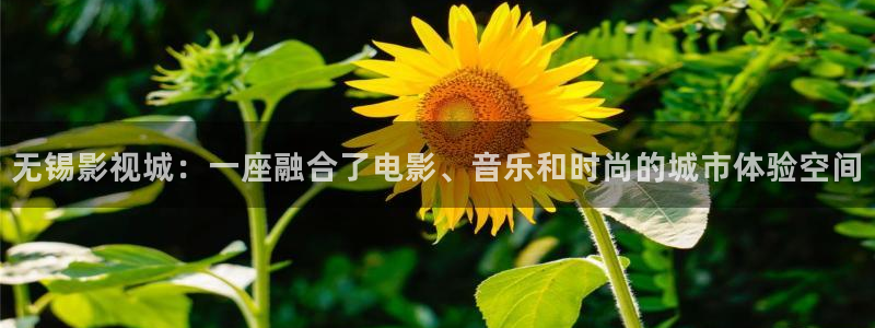 爱丫爱丫电视剧免费观看第一集：无锡影视城：一座融合了电影、音乐和时尚的城市体验空间
