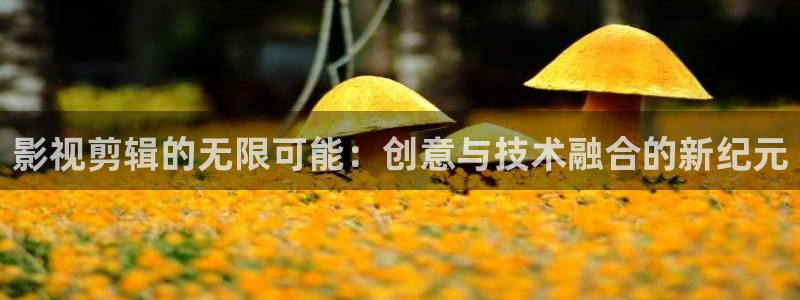 爱丫爱丫电视剧全集免费观看：影视剪辑的无限可能：创意与技术融合的新纪元