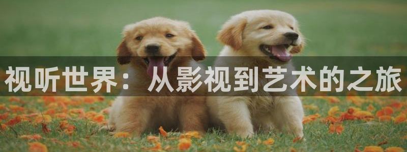 辣妹子爱丫爱丫电视剧在线观看：视听世界：从影视到艺术的之旅