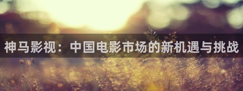爱丫爱丫电视剧免费观看第3集：神马影视：中国电影市场的新机遇与挑战