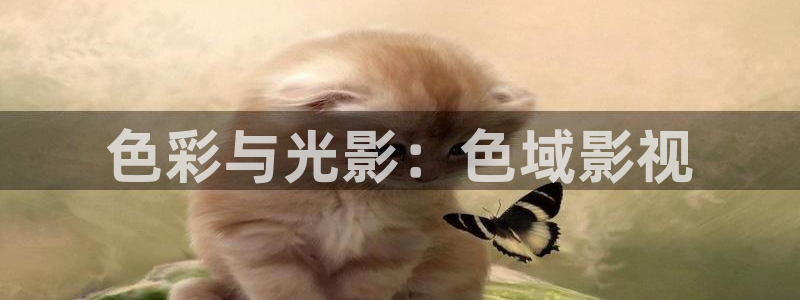 爱丫爱丫在线影院电视剧免费观看青春有你：色彩与光影：色域影视